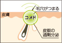 �ь��ɔ玉���܂�