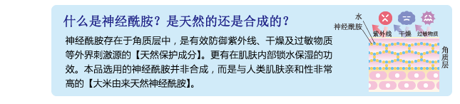 什么是神经酰胺？是天然的还是合成的？