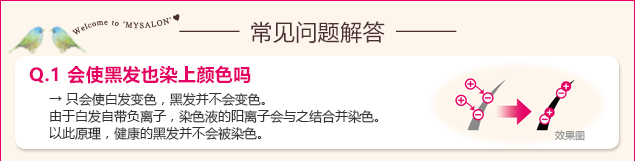 Q.1 会使黑发也染上颜色吗？