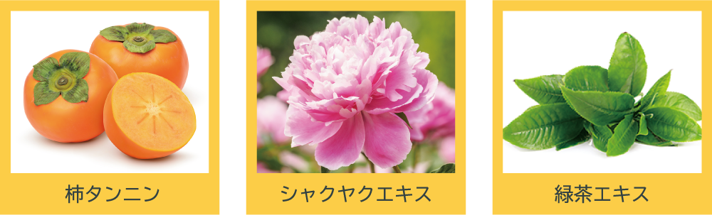 柿タンニン/シャクヤクエキス/緑茶エキス