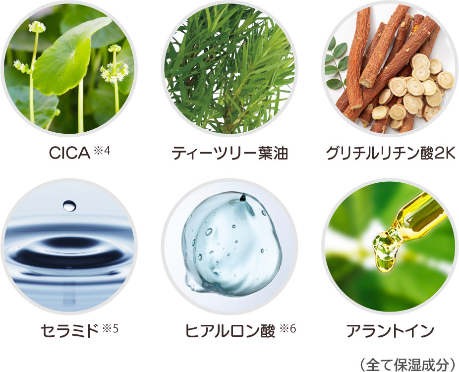 CICA、ティーツリー葉油(※4)、グリチルリチン酸２K、セラミド(※5)、ヒアルロン酸(※6)、アラントイン（全て保湿成分）