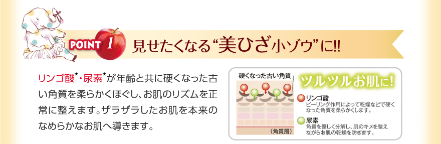 見せたくなる“美ひざ小ゾウ”に！！