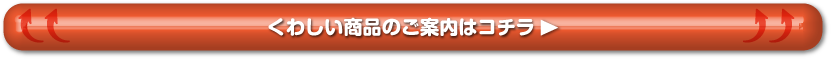 くわしい商品のご案内はコチラ