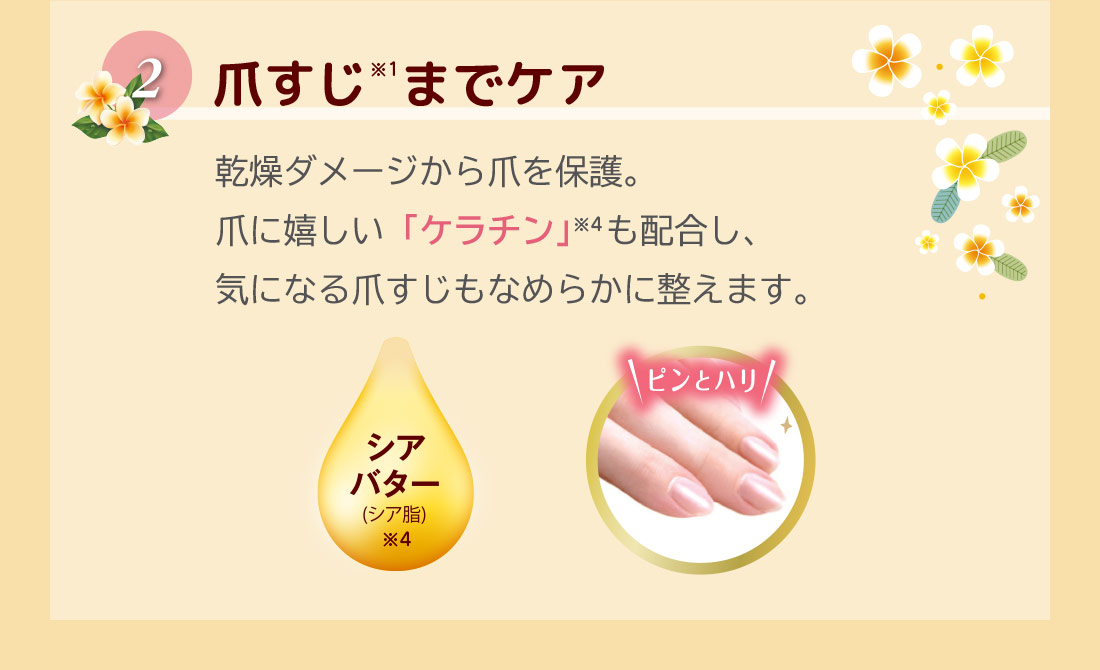 2.爪すじ(※1)までケア