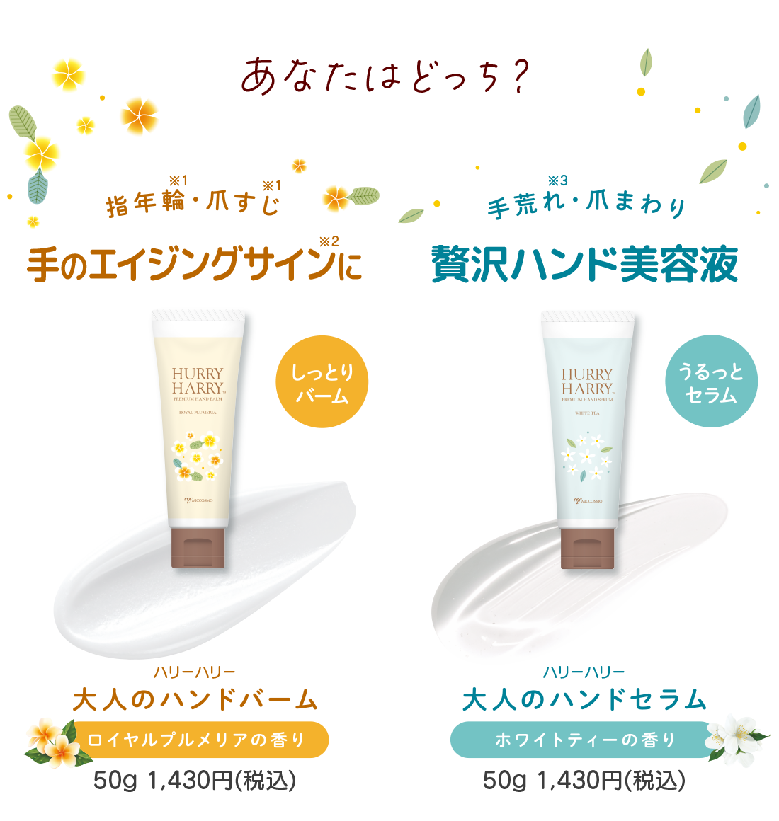 あなたはどっち？