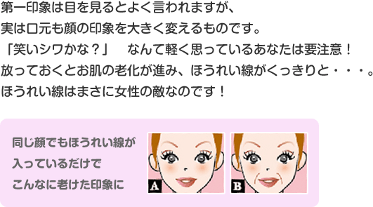 第一印象は目を見るとよく言われますが、実は口元も顔の印象を大きく変えるものです。「笑いシワかな？」　なんて軽く思っているあなたは要注意！放っておくとお肌の老化が進み、ほうれい線がくっきりと・・・。ほうれい線はまさに女性の敵なのです！