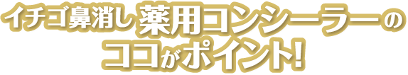 イチゴ鼻消し 薬用コンシーラーのココがポイント！