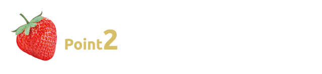 Point2 ニキビ跡や毛穴を瞬間カバー！