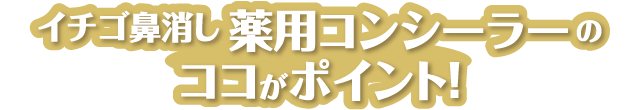 イチゴ鼻消し 薬用コンシーラーのココがポイント！