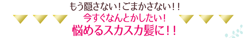 もう隠さない！ごまかさない！今すぐなんとかしたい！悩めるスカスカ髪に！