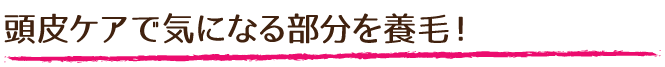 頭皮ケアで気になる部分を養毛！