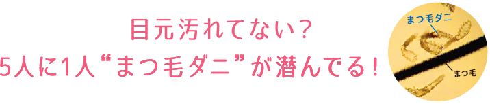 目元汚れてない？5人に1人“まつ毛ダニ”が潜んでる！