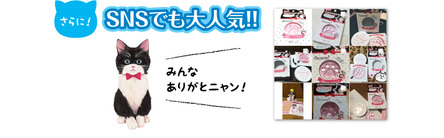 SNSでも大人気!!