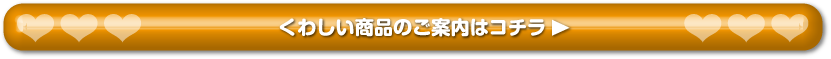 くわしい商品のご案内はコチラ