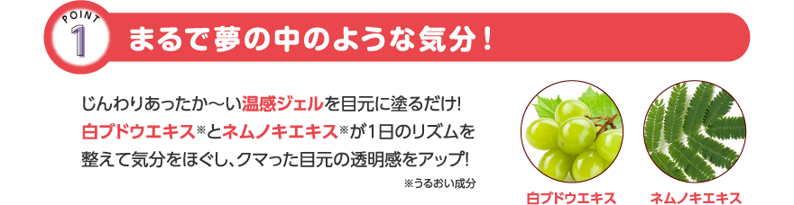 まるで夢の中のような気分！