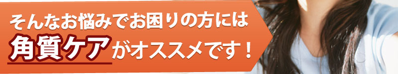 ����Ȃ��Y�݂ł�����̕��ɂ͊p���P�A���I�X�X���ł��I